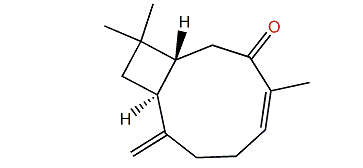 Buddledin C